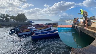 We went fishing at PORT ROYAL JAMAICA catchcleanandcook hunting [upl. by Annabel]