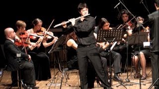 Carl Stamitz  Concerto for Flute and Orchestra in G Maj [upl. by Obaza]