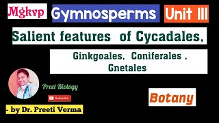 Salient features of Cycadales Ginkgoales Coniferales and Gnetales ll Gymnosperms ll Botany [upl. by Ehcadroj]