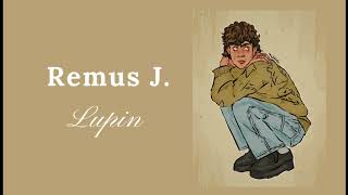 remus lupin playlist [upl. by Lyrradal]