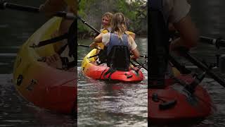 Kayak Adventure at Curaçao Rif Mangrove Park shorts [upl. by Rudich]