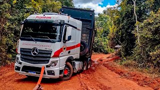 BOIADEIROS AO EXTREMOS  SÓ OS RAIZ  FRIGOBOM caminhao boiadeiro aoextremo viralvideo [upl. by Ainola]