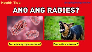 Ano ang Rabies  Signs and Symptoms  Prevention  Health Tips 13 Tagalog [upl. by Sitruc]