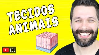 TECIDOS ANIMAIS  HISTOLOGIA ANIMAL  Mapa Mental e Resumo  Biologia com Samuel Cunha [upl. by Iem]