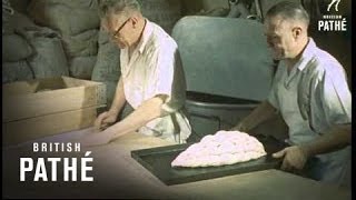 Bread Sculptor 1957 [upl. by Yetsirhc]