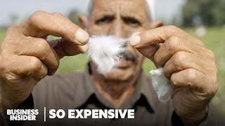 Why Real Egyptian Cotton Is So Expensive  So Expensive  Business Insider [upl. by Leventis666]