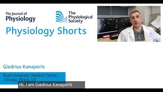 PHYS SHORTS Activation of small conductance Ca2activated K channels suppresses Ca2 transient [upl. by Gasparo718]