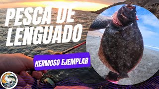 pesca de lenguado siempre nos sorprende Iquiquechile [upl. by Ahsenor]