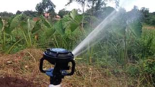 Solid set Sprinkler Irrigation system SIRACO [upl. by Maharg]