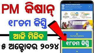 ପି ଏମ କିଷାନ୍ ୧୮ତମ କିସ୍ତି  PM KISAN 18TH INSTALMENT  CHECK YOUR BANK ACCOUNT [upl. by Bohaty]