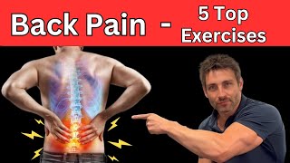 5 Top Low Back Pain Exercises You MUST Do [upl. by Can]