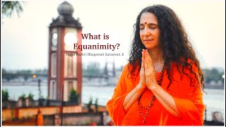 What is Equanimity [upl. by Sigvard160]