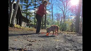 Moonshine Up and Down outside on driveway [upl. by Sierra]