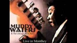 Muddy Waters amp Johnny Winter  Trouble No More [upl. by Nareht]