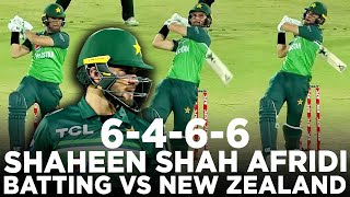 Shaheen Shah Afridi Batting  Smashes Rapid 23 Runs in 7 Balls Against the Kiwis  ODI  PCB  M2B2A [upl. by Otreblig]