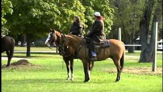 Horse Camping at Tippecanoe River State Park [upl. by Alcus663]