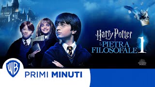 Harry Potter e la Pietra filosofale  La Gringotts  Clip de film [upl. by Lizette]