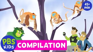 Wild Kratts Compilation  Explore the Outdoors  PBS KIDS [upl. by Lodge864]