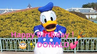 可愛いお尻ふりふり❣️😆Happy Birthday！ドナルド🎂✨🎉Tokyo Disneyland🏰✨2023 [upl. by Aidnac]