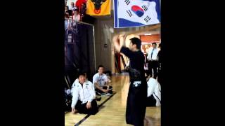 SHODAI SUBURI at 15 World Kendo Championships 2012 ITALY NOVARA [upl. by Eirene]