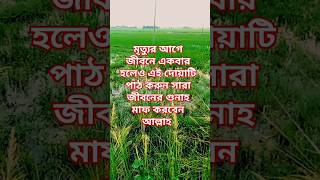 মৃত্যুর আগে একবার হলেও এটা দোয়া টা পাঠ করুন islamicshorts mizanurrahmanazhari সব islamicprayer [upl. by Fineberg325]