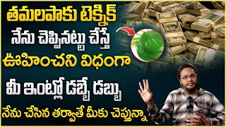 Vibrant Vamsi  Tamalapaku Remedy  Powerful Money Attracting Remedies Law Of Attraction Money [upl. by Sitnik648]