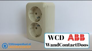 ABB WandContactdoos WCD  Dubbele Opbouw contactdoos  Bush Jaeger Stopcontact  123GroepenKastnl [upl. by Tsenrae]