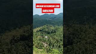 Angilan Aloguinsan Cebu NOYPIPOY [upl. by Sabah]