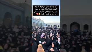 الزينبيات يتجمعن في مرقد السيدة زينب عليها السلام الاداء مراسيم محرم والمشاركة في العزاء الحسيني بس [upl. by Tara48]