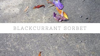 How I make blackcurrant sorbet [upl. by Ajnot]