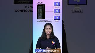 Did you know DHCP  dhcp networking [upl. by Wiltz]