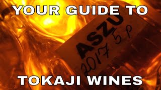 Hungarian Wine Tokaj Explained [upl. by Esenaj]