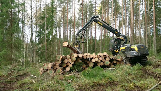 A big big pile of logs on the harvester Ponsse Scorpion King H7 [upl. by Ferrel]