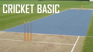 Cricket Basic Parameters  Cricket Fielding Positions  Batting Shots in Cricket [upl. by Dal231]