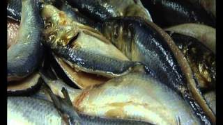 Craster Kippers  L Robson amp Sons promo by Castlecross [upl. by Enyalaj]