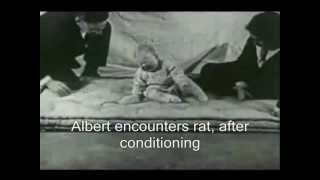 Little Albert Experiment Watson [upl. by Neema]