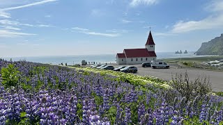 Stunning South Coast of Iceland  Vik  trip to Yoga cave video [upl. by Lerner]