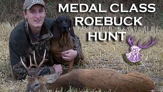 RUTTIME MEDAL CLASS ROEBUCK [upl. by Birdella]