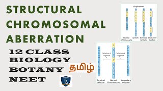 Structural Chromosomal Aberration Tamil  Chromosomal Basis of Inheritance  Botany I Class 12 [upl. by Ateuqram]