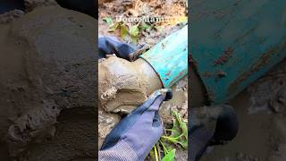 Drain Cleaning How to Unclog a Blocked Pipe blockedpipe shorts video viralvideo shortvideo [upl. by Akiaki]