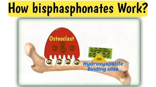 Mechanism action of bisphasphonates  How bisphasphonates work  Doctors goal [upl. by Alix114]