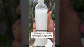 irrigation formula to support growth backyardgardening gardeninglife vegetablegardening [upl. by Elyod]