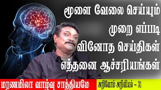 மூளை வேலை செய்யும் முறை எப்படி வினோத செய்திகள் எத்தனை ஆச்சரியங்கள் மரணமிலா வாழ்வு சாத்தியமே [upl. by Blackstock]