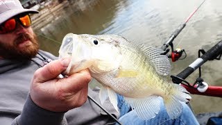 This CRAZY Crappie Fishing Rig Caught OVER 100 Fish Spider Rigging [upl. by Notfilc]