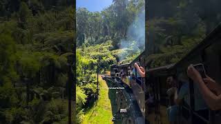 Puffing Billy Adventure Australia’s Iconic Steam Train Ride [upl. by Hube]