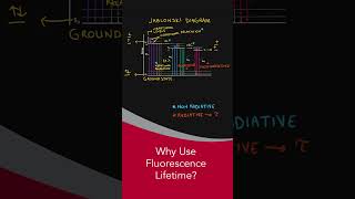 Why Use Fluorescence lifetime fluoroscopy science [upl. by Nylirek]