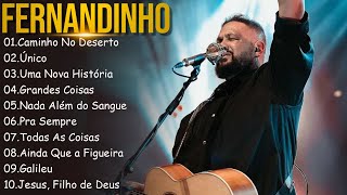 FERNANDINHO  Caminho No Deerto  Único Top 10 Hinos Gospel Mais Ouvidos de 2024 [upl. by Jill842]