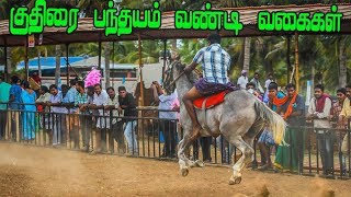 பந்தய குதிரை வண்டி வகைகள்  Horse Rekla Race  குதிரை பந்தயம் மற்றும் பயிற்சி [upl. by Kroll]