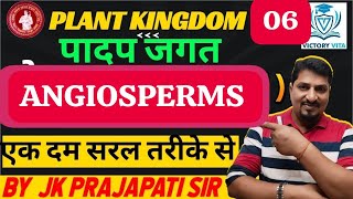 11 biology chapter 3 plant kingdom  angiosperms class 11 by jk prajapati sir [upl. by Ylagam]