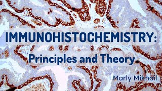 Immunohistochemistry Principles and Theory [upl. by Uriah767]